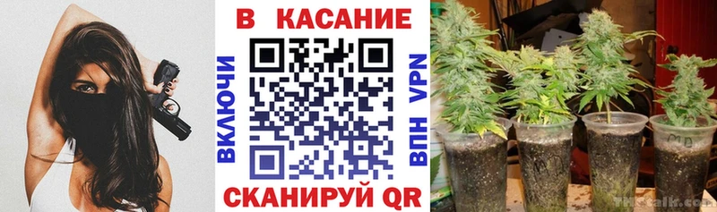 Наркота Томари кракен онион Мефедрон ГАШИШ Марихуана A PVP АМФ