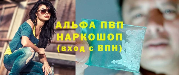 шишки Абаза