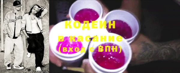 шишки Абаза