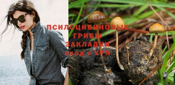 дмт Алексеевка